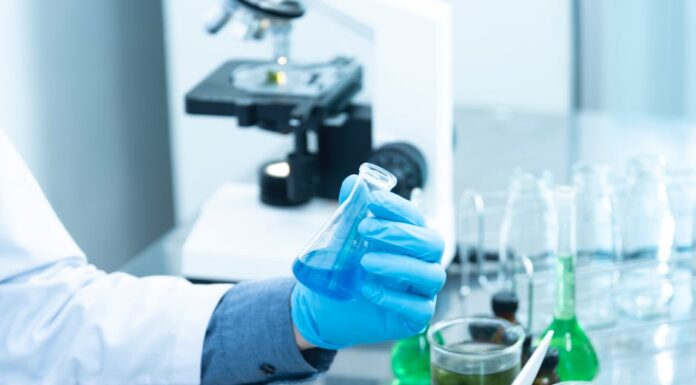 Po jakim czasie test ciążowy wyjdzie pozytywny? Po jakim czasie test ciążowy wyjdzie pozytywny?