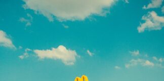 Ile zarabiają w Mc Donald?