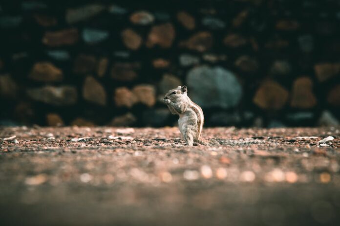 Jaki jest profil firmy?