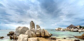 Jak zarabiać na tym co się lubi?