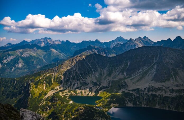 Jaka jest najstarsza polska firma?