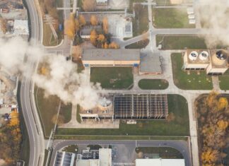 Czy Anubiasy potrzebują CO2? Ile kosztuje napełnienie butli CO2 do akwarium?
