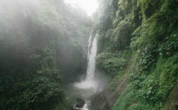 Gdzie boli brzuch przy poronieniu?