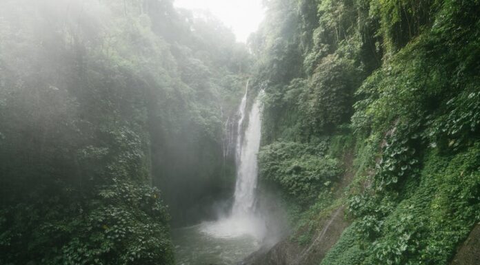 Gdzie boli brzuch przy poronieniu? Gdzie boli brzuch przy poronieniu?