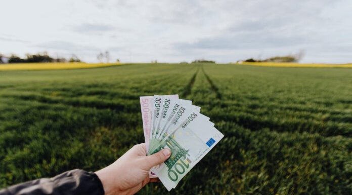 Ile wziac euro na tydzień do Turcji? Ile wziac euro na tydzień do Turcji?
