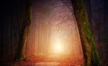 Jakie oświetlenie w warsztacie samochodowym?