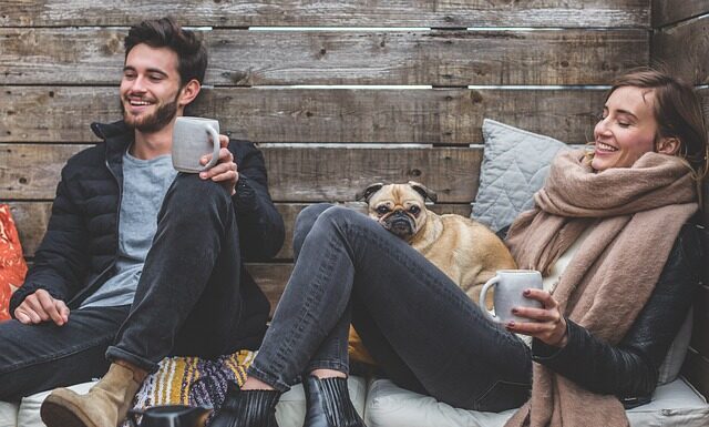 Jaki Vanish do kanapy?