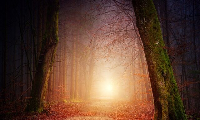 Jak podłączyć oświetlenie ogrodowe?