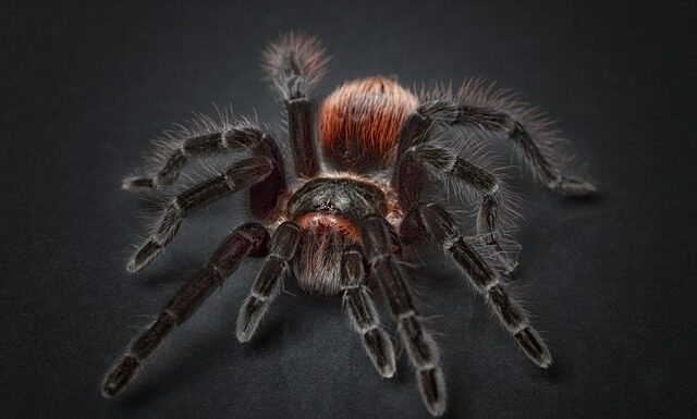 Jak Zaizolować kolano 90 stopni?