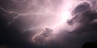 Jak działa elektryczny otwieracz do wina?