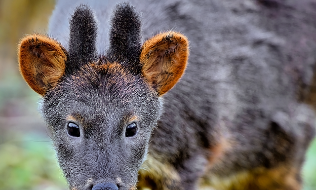 Jakie zagrożenia lub utrudnienia powoduję zbyt cienka warstwa otulenia prętów w elemencie żelbetowym?