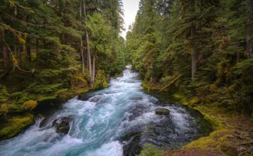 Jak zrobić centralne odkurzanie?