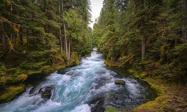 Jak zrobić centralne odkurzanie? Jak zrobić centralne odkurzanie?