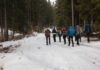 Jaką odzież trekkingową wybrać na górską wędrówkę? Odzież trekkingowa